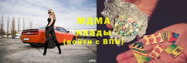 гидра Каменка