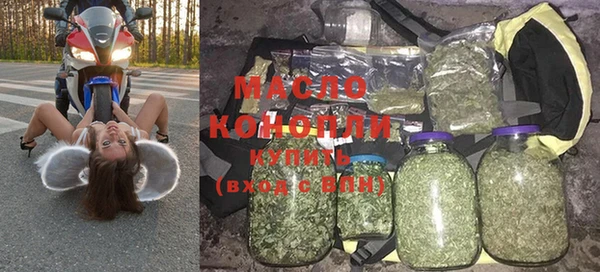 гидра Каменка