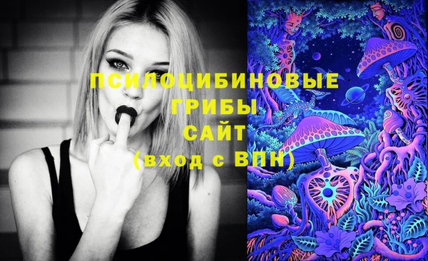 синтетический гашиш Инта