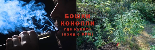 PSILOCYBIN Каменногорск