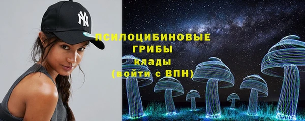 PSILOCYBIN Каменногорск