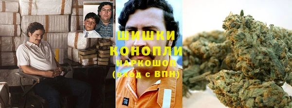 гидра Каменка