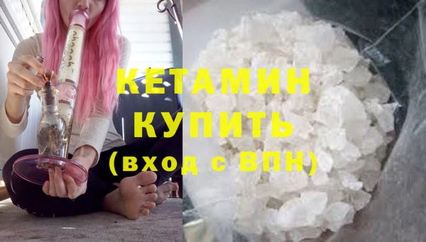 гидра Каменка