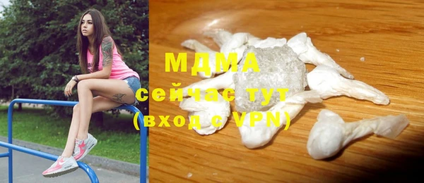 гидра Каменка
